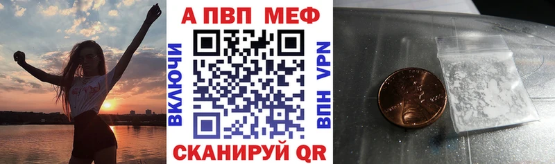 A PVP СК  Новокузнецк 