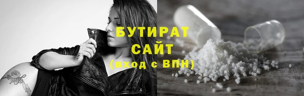 стаф Бородино