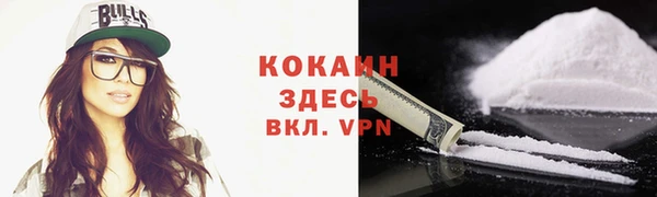 стаф Бородино