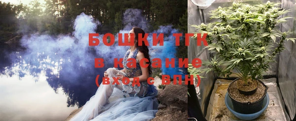 стаф Бородино