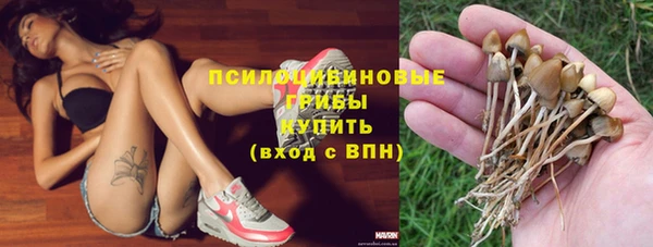 прущая мука Верхний Тагил